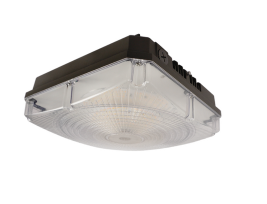 LED Canopy Light